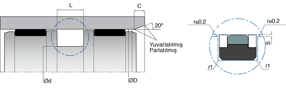 K19